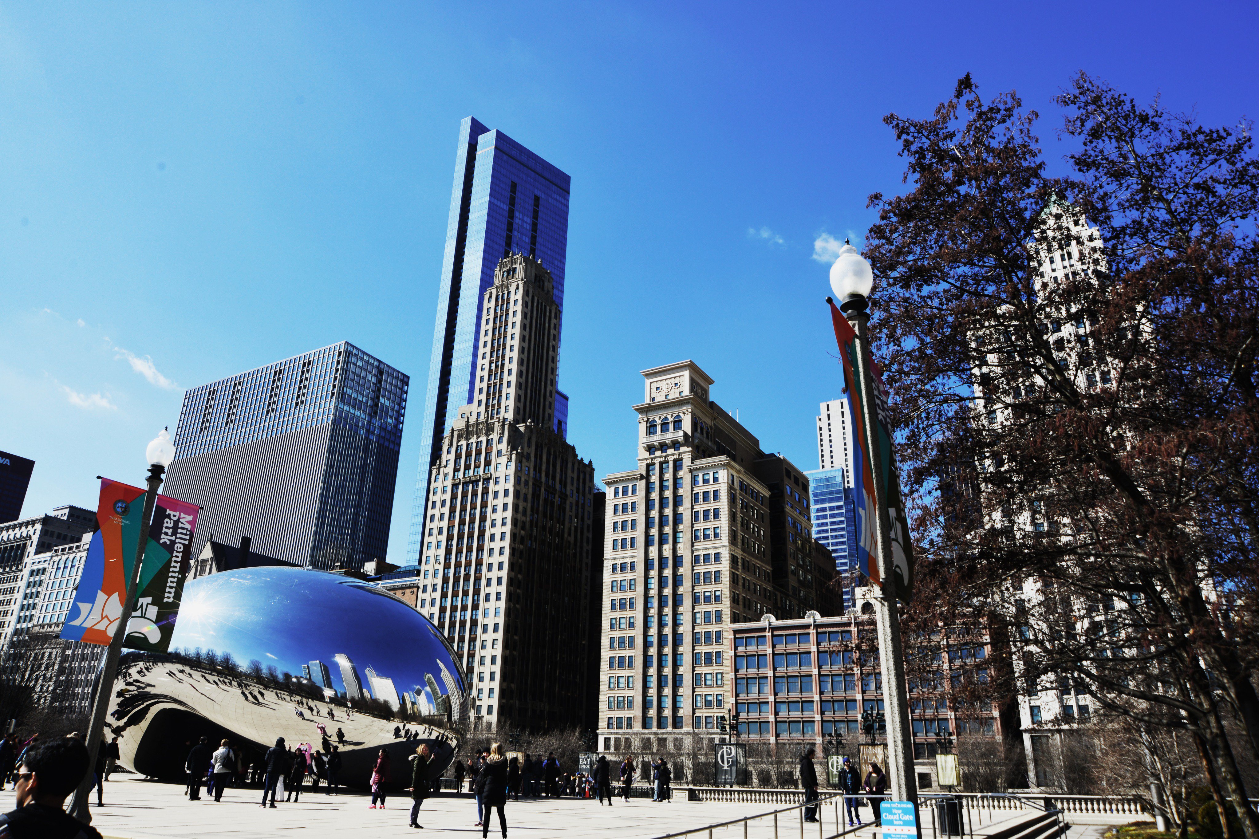 Chicago skyline with Cloud Gate, taken from Maggie Daley Park